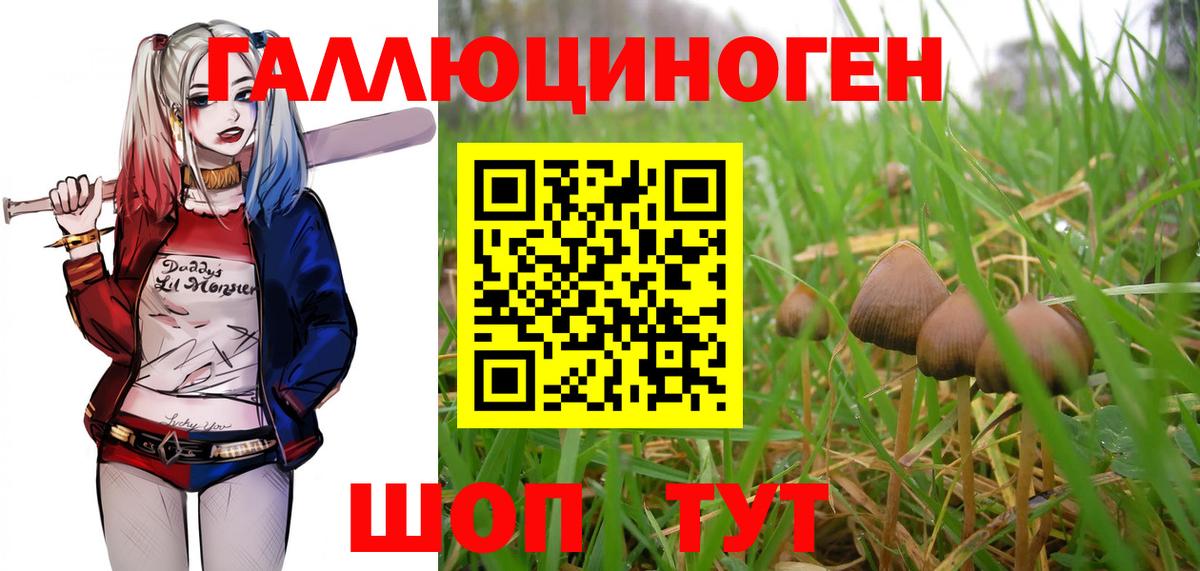 Псилоцибиновые грибы прущие грибы Надым