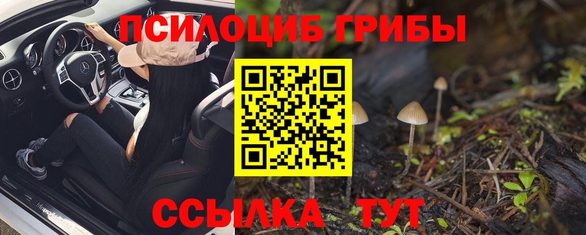 Псилоцибиновые грибы Cubensis  Псилоцибиновые грибы прущие грибы  Надым  Вход с VPN 